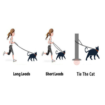 cats leash