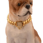 chain collar for dogs