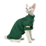 clothes for hairless cats