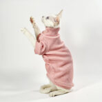 clothes for hairless cats