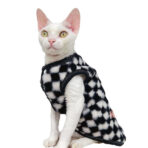 clothing for sphynx cats