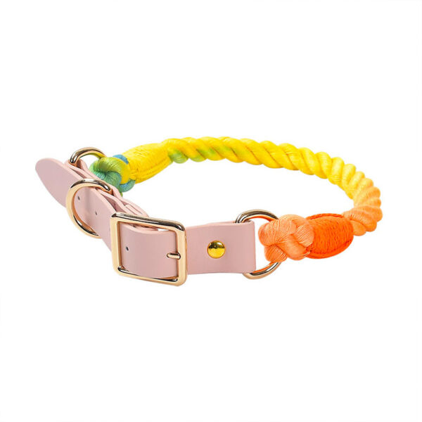 dog collar with rope
