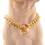 dog gold chain collar