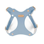 dog harness for small dogs