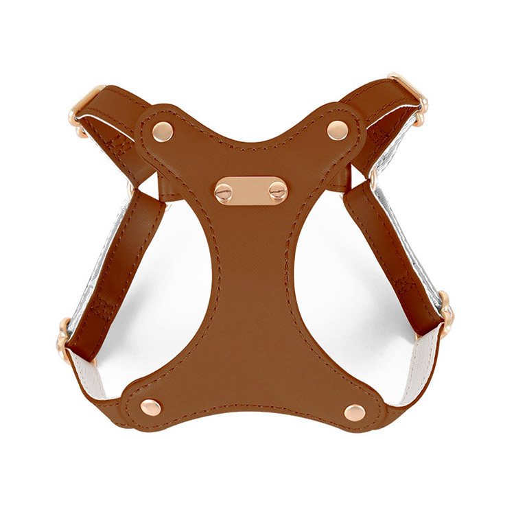 dog harness for small dogs