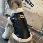 dog leather jacket
