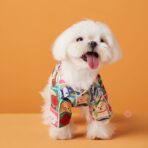 dog print dog blouse