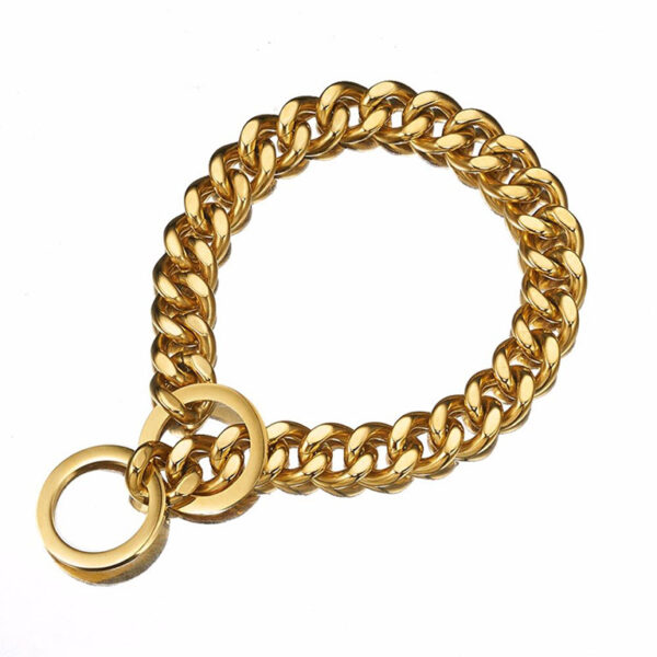 gold chain collar for dogs