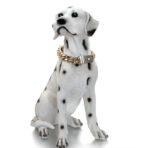 gold collar for dogs