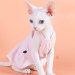 hairless cats dress (4)