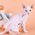 hairless cats dress (6)