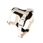leather cat harness