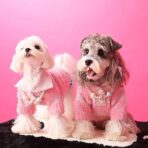 pink dog sweater