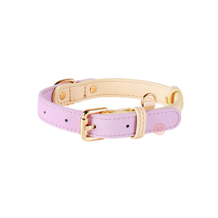 small leather dog collar