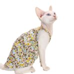 sphynx cat apparel
