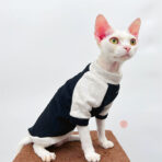 sphynx cat sweater (10)