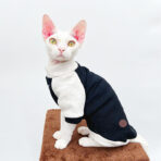 sphynx cat sweater (11)