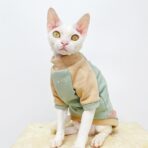 sphynx cat sweater (13)