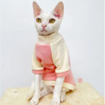 sphynx cat sweater (16)