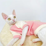 sphynx cat sweater (2)