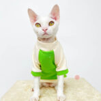 sphynx cat sweater (3)