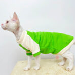 sphynx cat sweater (5)