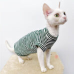 sphynx cat tshirt (1)