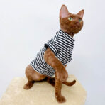 sphynx cat tshirt (2)