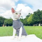 sphynx cat tshirt (4)