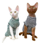 sphynx cat tshirt (9)