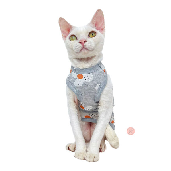sphynx cat vest (2)