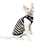 sweater for sphynx cat (2)