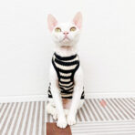 sweater for sphynx cat (3)