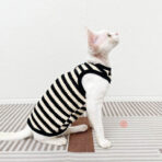 sweater for sphynx cat (4)