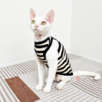 sweater for sphynx cat (4)
