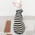 sweater for sphynx cat (6)
